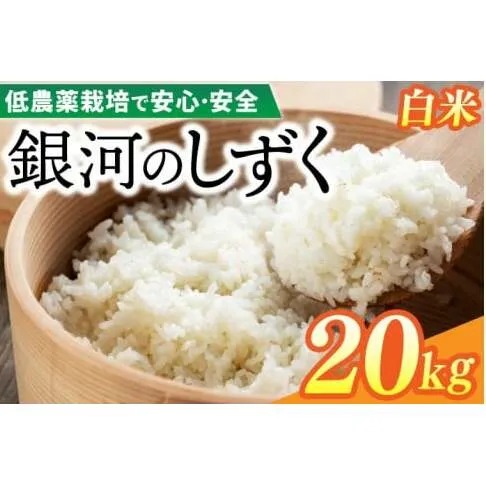【新米】令和6年産 銀河のしずく 20kg (精米) 低農薬栽培米 生産者直送 (EI014)