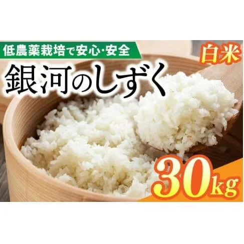 【新米】令和6年産 銀河のしずく 30kg (精米) 低農薬栽培米 生産者直送 (EI015)