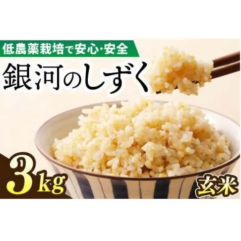 【新米】令和6年産 銀河のしずく 3kg (玄米) 低農薬栽培米 生産者直送 (EI016)
