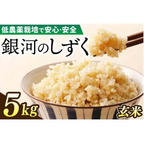 【新米】令和6年産 銀河のしずく 5kg (玄米) 低農薬栽培米 生産者直送 (EI017)