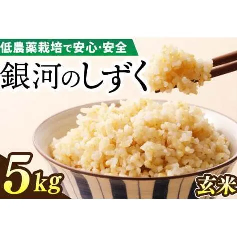 【新米】令和7年産 銀河のしずく 5kg (玄米) 低農薬栽培米 生産者直送 (EI017)