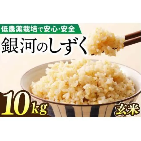 【新米】令和6年産 銀河のしずく 10kg (玄米) 低農薬栽培米 生産者直送 (EI018)