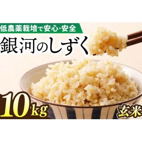 【新米】令和7年産 銀河のしずく 10kg (玄米) 低農薬栽培米 生産者直送 (EI018)