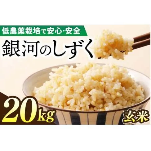 【新米】令和6年産 銀河のしずく 20kg (玄米) 低農薬栽培米 生産者直送 (EI019)