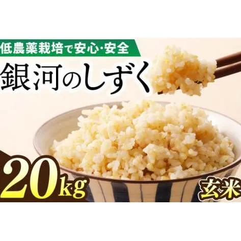 【新米】令和7年産 銀河のしずく 20kg (玄米) 低農薬栽培米 生産者直送 (EI019)