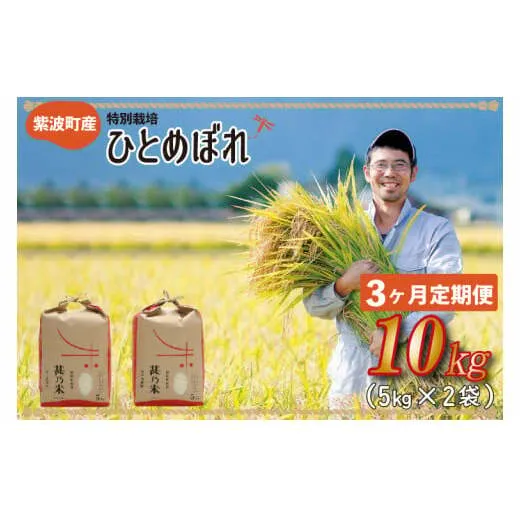 【令和6年産】ひとめぼれ 10kg (5kg×2袋) 【3ヶ月定期】【特別栽培米】 岩手県 紫波町産 (AC028)