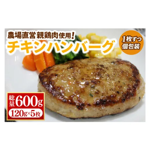 【浅沼養鶏場】国産 親鶏の旨味たっぷり チキンハンバーグ 約120g×5枚 (約600g) 小分け 冷凍 簡単調理 餌にこだわった 親鶏肉使用 ハンバーグ チキン メンチ カツ BBQ 産地直送 (AJ017)