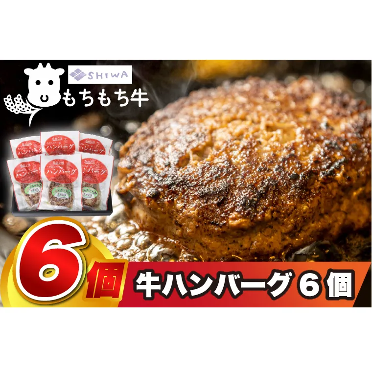 ＼オリジナルソース付き／ 黒毛和種しわ もちもち牛入りハンバーグ 6個入 (AM008)