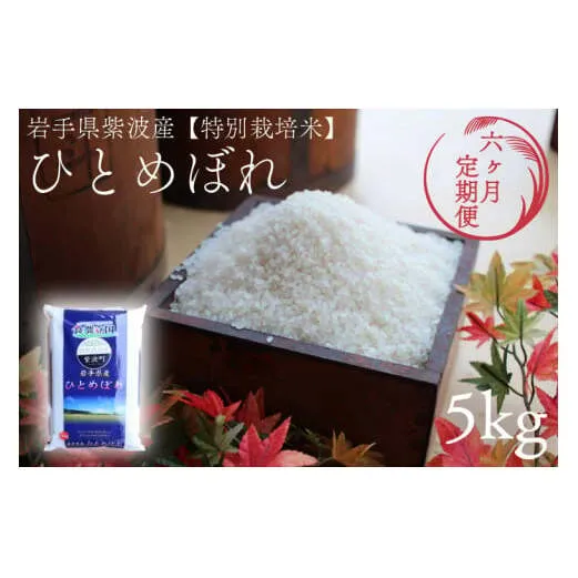 ★令和7年産★【6回定期便】特別栽培米 ひとめぼれ5kg 岩手県紫波町産 (AD048)