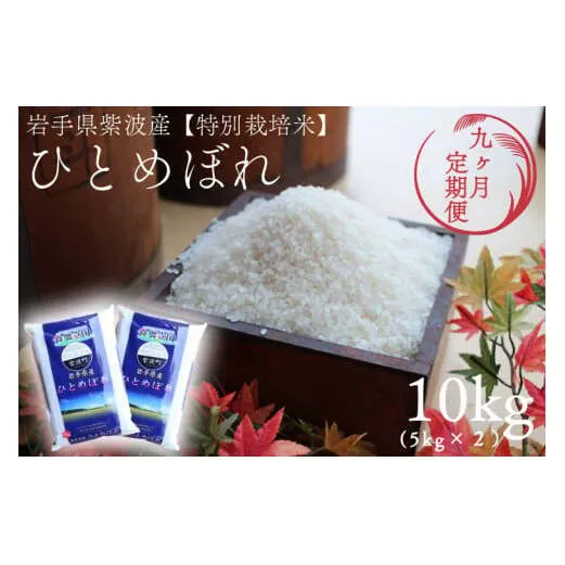 ★令和7年産★【9回定期便】特別栽培米 ひとめぼれ 10kg（5kg×2袋）岩手県紫波町産 (AD055)