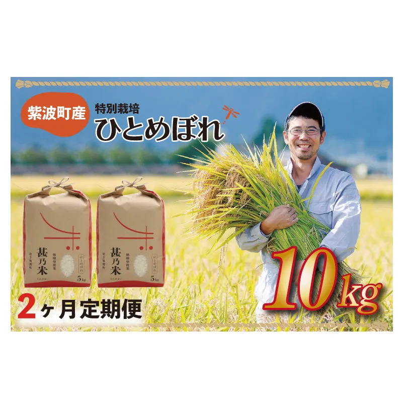 【令和6年産】ひとめぼれ 10kg (5kg×2袋) 【2ヶ月定期】【特別栽培米】 岩手県 紫波町産 (AC027)