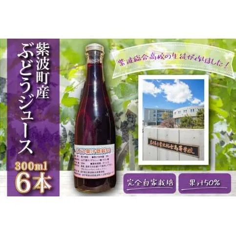 ＼紫波の高校生が作りました！／紫波町産 ぶどうジュース 300ml 6本入り (EC003)