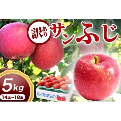 サンふじ 5kg 訳あり りんご 紫波町産 (DV054)