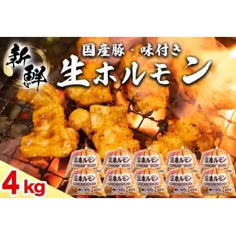 国産豚 味付き 生ホルモン 白(レバーなし) 4000g (400g×10パック) (DV052)