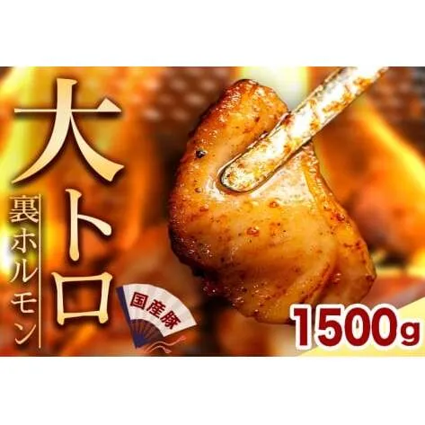 国産豚ホルモン 大トロ キクアブラ 1500g (150g×10)（DV068）