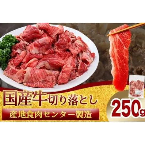 ★先行予約 2月中旬より発送★ 国産牛切り落とし250g（DV069）