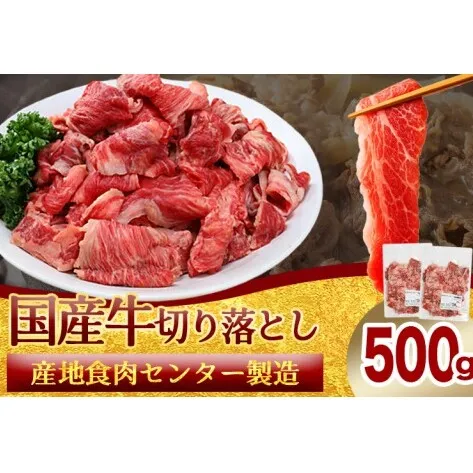 ★先行予約 2月中旬より発送★ 国産牛切り落とし500g（250g×2パック）（DV070）