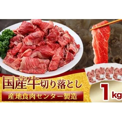 ★先行予約 2月中旬より発送★ 国産牛切り落とし1kg（250g×4パック）（DV071）