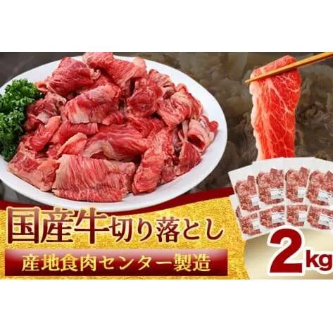 ★先行予約 2月中旬より発送★ 国産牛切り落とし2kg（250g×8パック）（DV072）