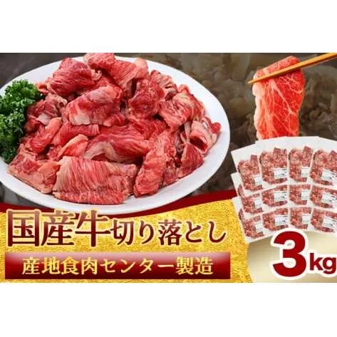 ★先行予約 2月中旬より発送★ 国産牛切り落とし3kg（250g×12パック）（DV073）