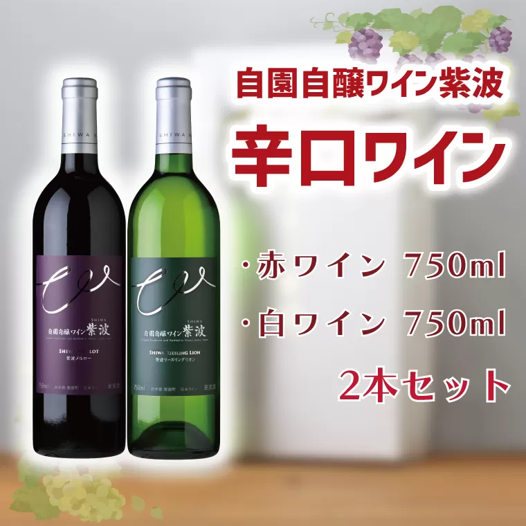 AL045-1 自園自醸ワイン紫波 辛口ワイン2本セット