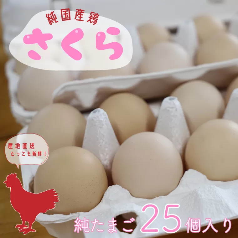 AJ009-1　純国産鶏【さくら】純たまご25個入り