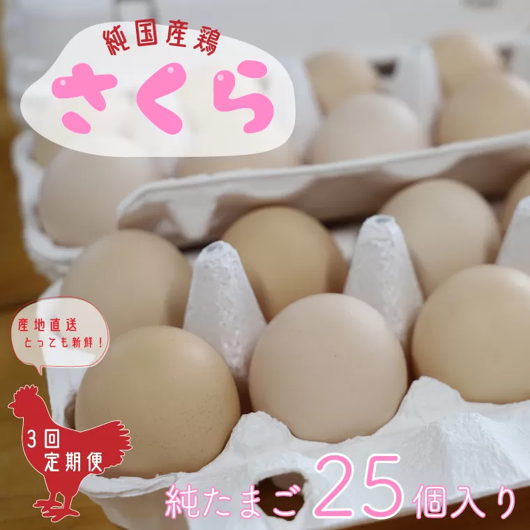 AJ010-1　純国産鶏【さくら】純たまご25個【3ヶ月連続お届け】