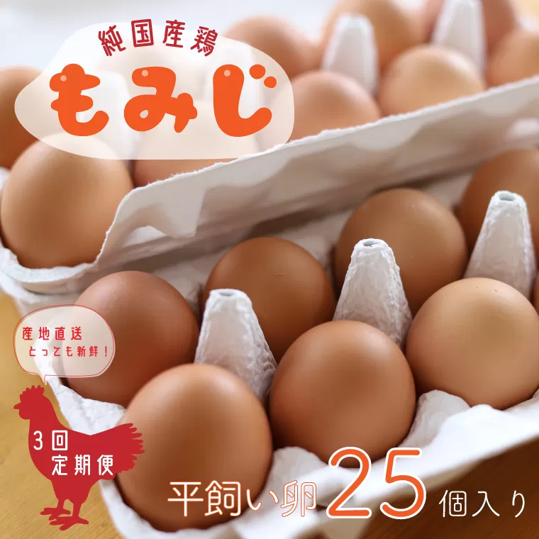 AJ006-1【純国産鶏もみじ】平飼い卵25個入り【3ヶ月連続お届け】