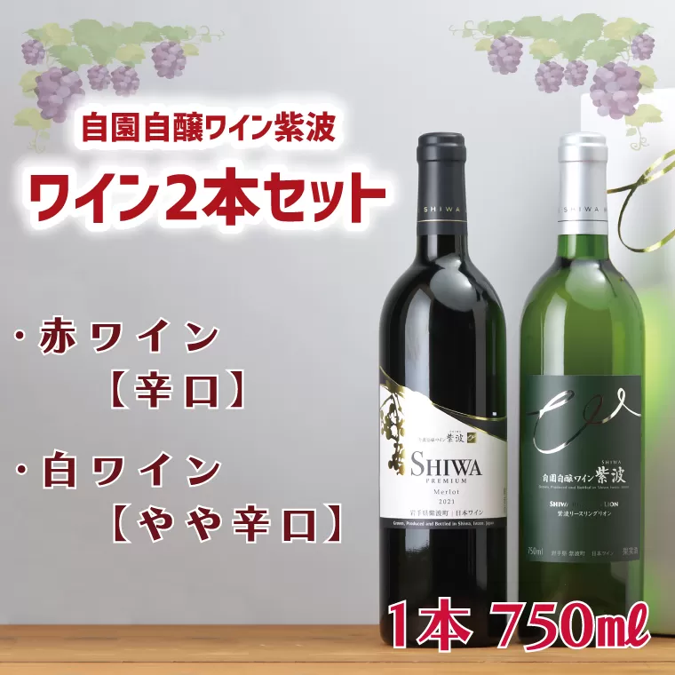 AL040-1 ワイン2本セット【自園自醸ワイン紫波】