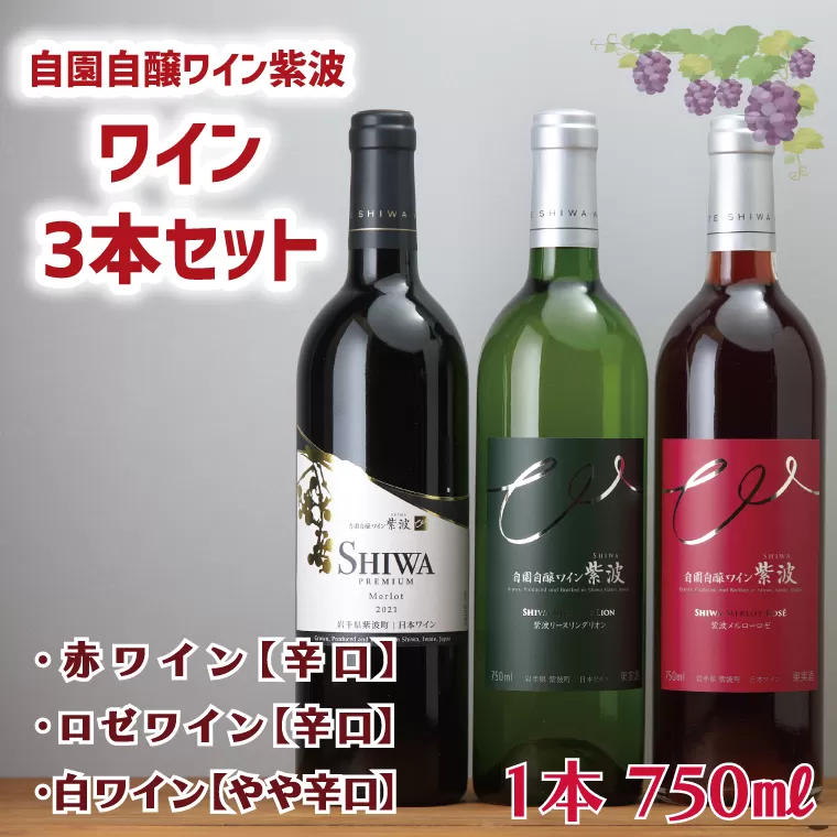 AL039-1　ワイン3本セット【自園自醸ワイン紫波】