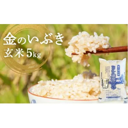令和7年産 金のいぶき(玄米)5kg
