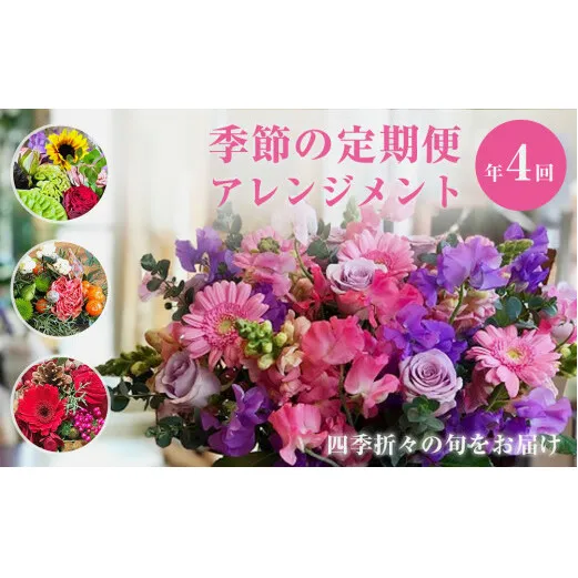 [定期便]季節の定期便アレンジメント(年4回) 花 生花 フラワー アレンジメント 春夏秋冬