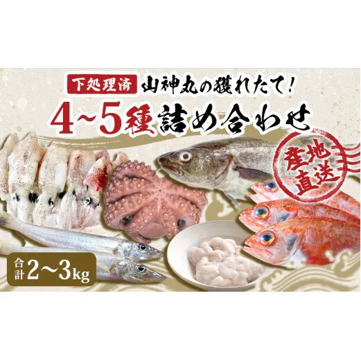 鮮魚 詰め合わせ 2〜3kg(4〜5種)下処理済み 漁師直送! 宮城県産 鮮魚 内臓処理済 お楽しみ 鮮魚ボックス 詰め合わせ 魚 食べ比べ お魚 とれたて 美味しい 新鮮 海鮮 魚介 刺身 焼き魚 煮付け フライ レシピ付 簡単調理 宮城県 石巻市 山神丸 送料無料
