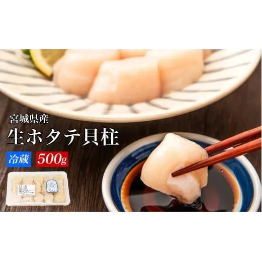 宮城県産 生食用 生ホタテ貝柱（500g/約15個〜18個入り）冷蔵 帆立 ほたて 貝 魚介 海鮮 刺身 生食 生ほたて 生帆立 宮城県 石巻市 宮城 石巻