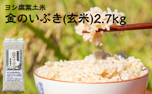 令和6年産 玄米 宮城県産 ヨシ腐葉土米 金のいぶき 2.7kg(900g×3