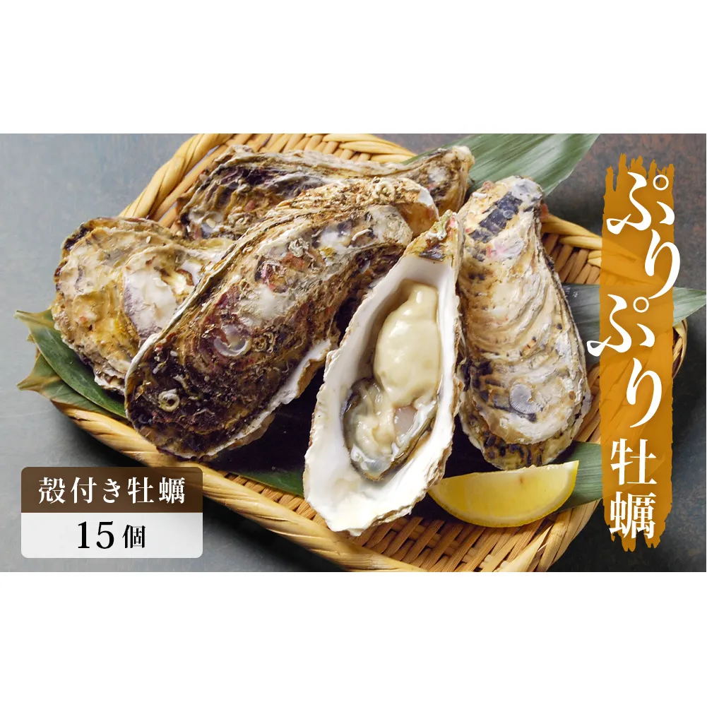 殻付き牡蠣 15個 生食用 牡蠣 カキ 殻付き 冷蔵 宮城 かき 海鮮 魚介 貝類 海の幸 海産物 魚介類 家庭用 宮城県 石巻市