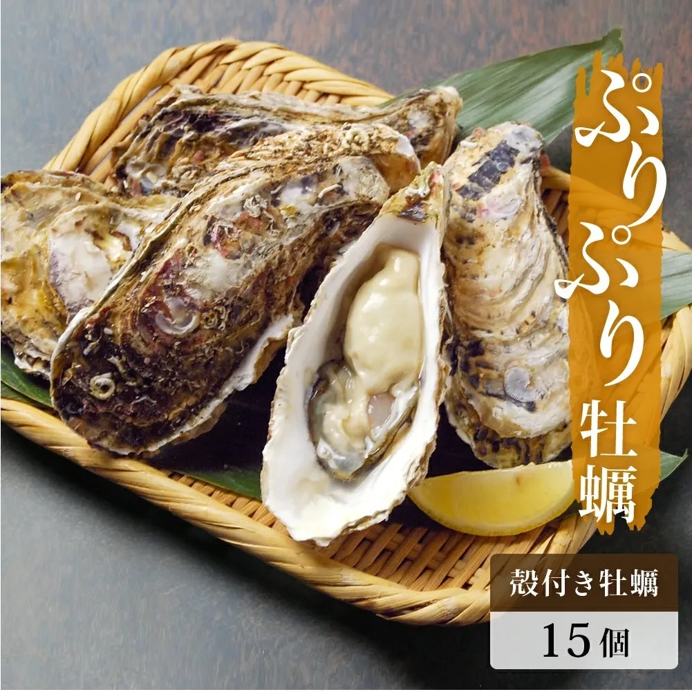 殻付き牡蠣 15個 生食用 牡蠣 カキ 殻付き 冷蔵 宮城 かき 海鮮 魚介 貝類 海の幸 海産物 魚介類 家庭用 宮城県 石巻市