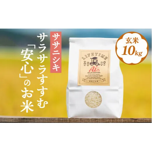 米 ササニシキ サラサラすすむ"安心"のお米 玄米 10kg 5kg×2 化学肥料不使用 お米 コメ こめ ささにしき ご飯 ごはん 主食 ライス 産地直送 国産 宮城県 石巻市