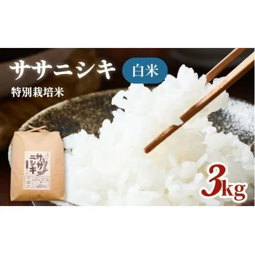 特別栽培米 ササニシキ 白米 3kg