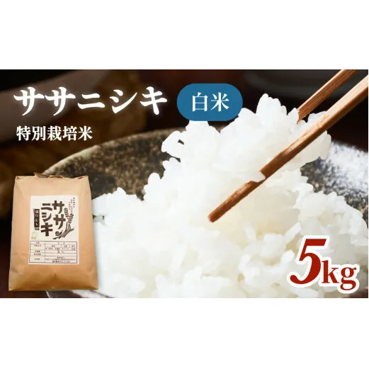 特別栽培米 ササニシキ 白米 5kg