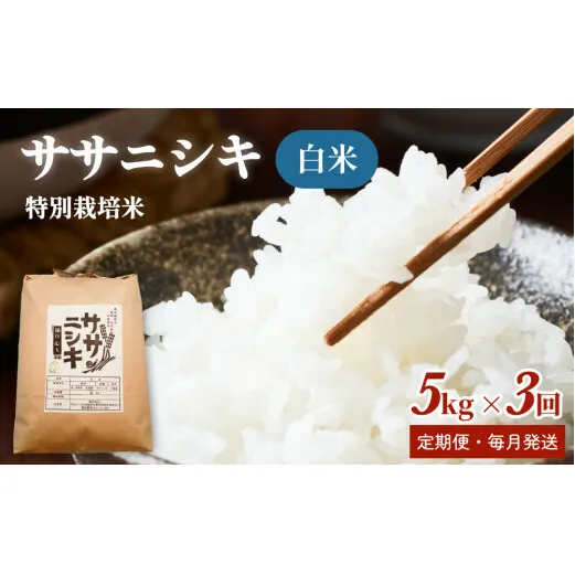 特別栽培米 ササニシキ 白米15kg【毎月5kg 全3回】