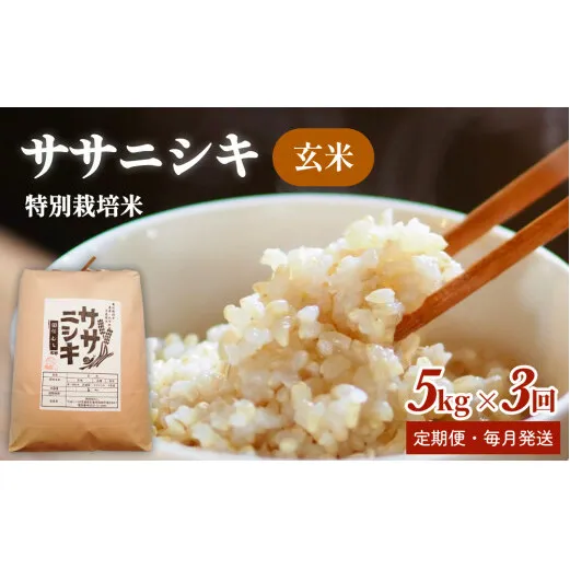 特別栽培米 ササニシキ 玄米15kg【毎月5kg 全3回】