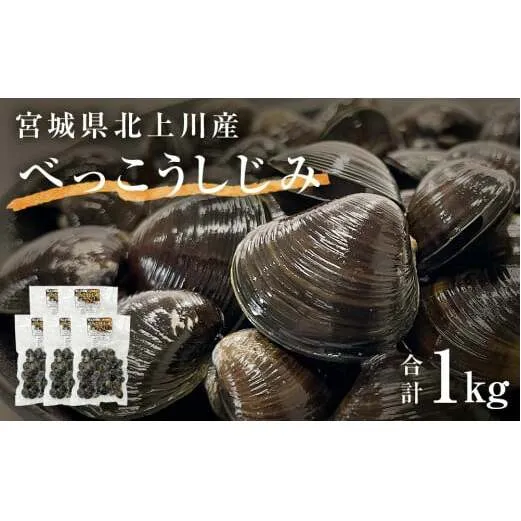 北上川のべっこうしじみ 1kg