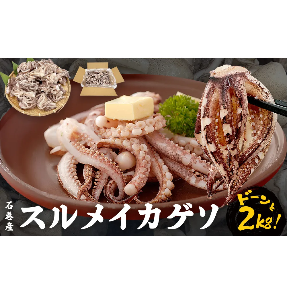 [ 訳あり ]スルメイカ ゲソ 石巻産 (2kg) 宮城県産 冷凍 国産 下足 イカ イカゲソ 唐揚げ いかげそ おつまみ 魚介類 焼イカ バーベキュー BBQ わけあり 不揃い 烏賊 炒め物 フライ ゲソ天 唐揚げ イカゲソ2kg 宮城県 石巻市