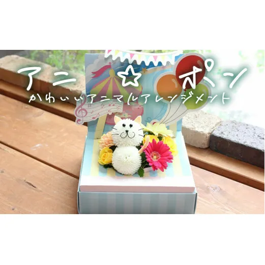 アニ☆ポン（ネコ）  花 生花 花束 動物  ネコ 可愛い ギフト プレゼント 