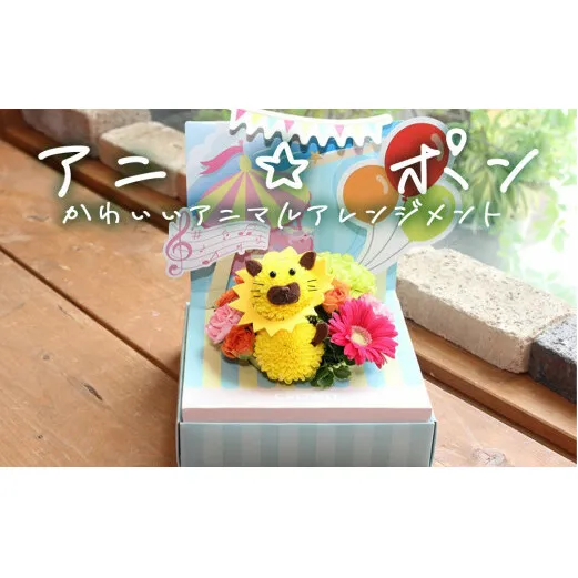 アニ☆ポン（ライオン）  花 生花 花束 動物 ライオン 可愛い ギフト プレゼント