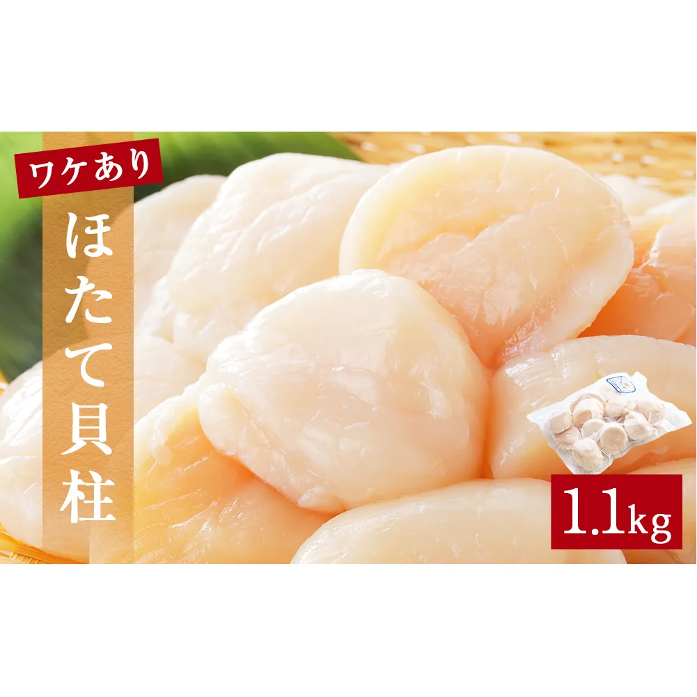 【先行予約】ほたて ＜訳あり＞ 貝柱 1.1kg 加熱用 帆立 ホタテ 魚介類 わけあり 不揃い 冷凍 魚介 魚介類 貝 貝類 海鮮 ホタテ貝柱 訳アリ おつまみ 加熱 シーフード お取り寄せ グルメ 人気 つまみ 酒の肴 帆立貝柱 宮城県 石巻 石巻市 送料無料