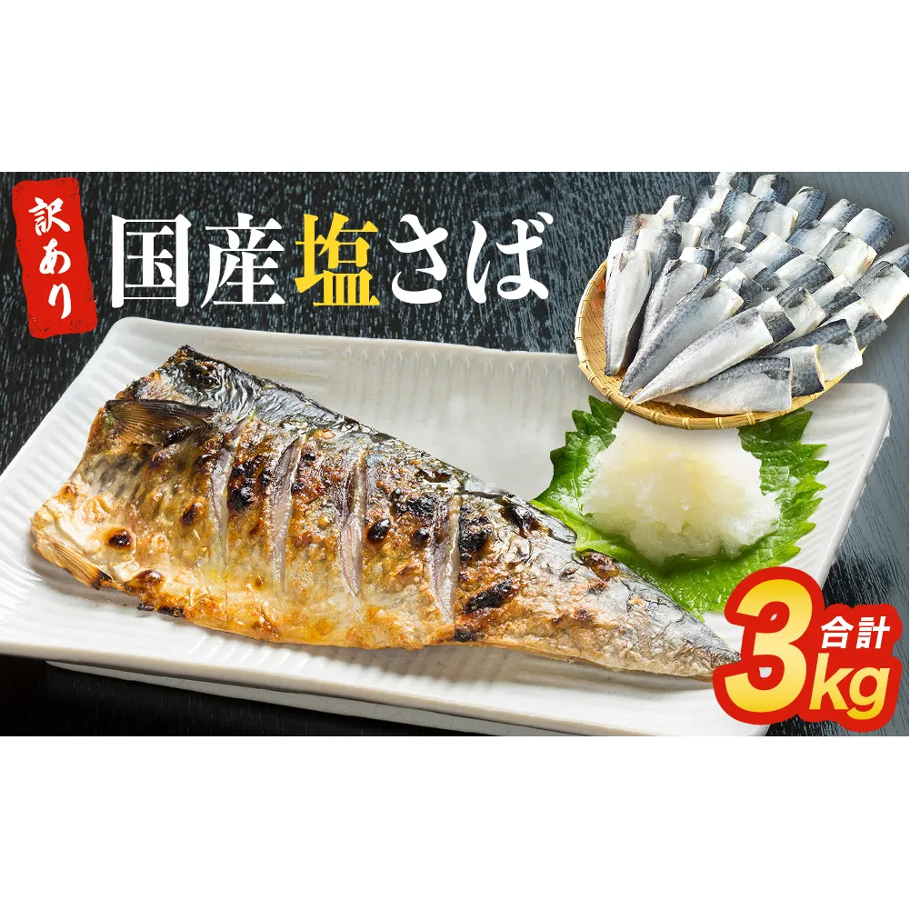 さば 〈 訳あり 〉 国産 塩さば フィーレ 3kg 冷凍 さば 切身 フィレ 鯖 わけあり 不揃い 急速冷凍 新鮮 魚 青魚 鯖フィレ サバフィーレ 塩鯖 さば 切り身 焼き魚 焼魚 おかず 宮城県 石巻市