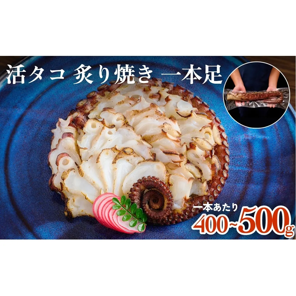 活タコ 炙り焼き 一本足 冷凍 たこ刺し たこ刺身 タコ 国産 たこ 直火焼き おかず おつまみ タコ足 炙りタコ 蛸 国産たこ 海鮮 魚介 タコ刺し 刺身 酒の肴 珍味 お取り寄せ グルメ 家庭用 BBQ バーベキュー パーティー 宮城県 石巻市 送料無料