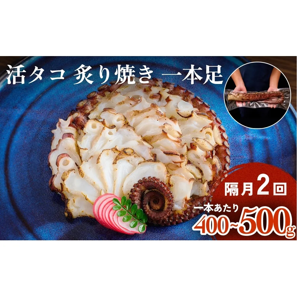 活タコ 炙り焼き 一本足 定期便 隔月 2回 タコ たこ 直火焼き おかず おつまみ 蛸 刺身
